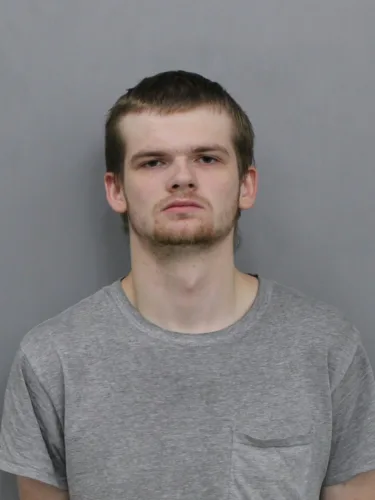 Man charged with grooming, 19 counts of possession of depiction of minor in sex act